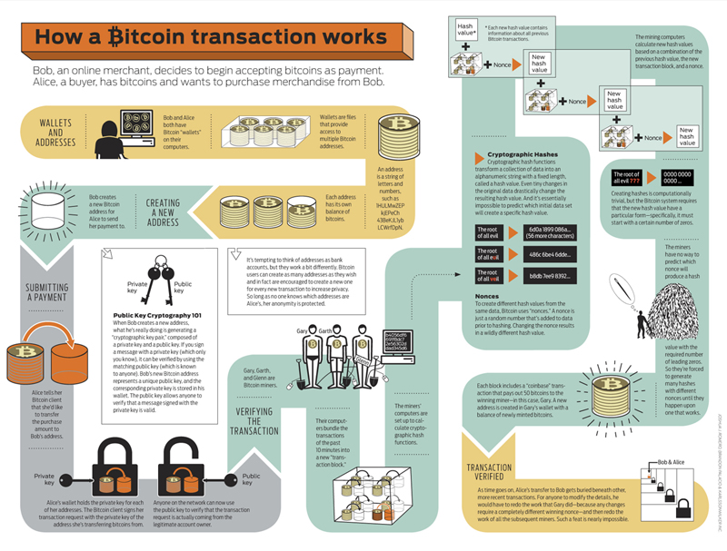 bitcoin-infographic 5029189c9cbaf